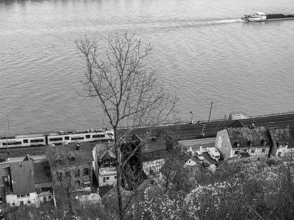 Rhine from Castle Stolzenfels