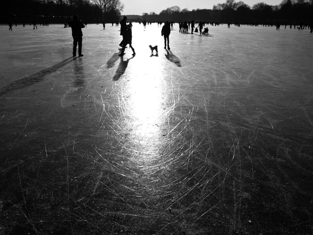 Sun on Ice