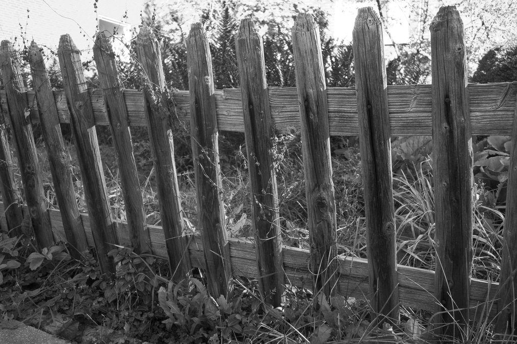 20111016-1050-R0010866.jpg