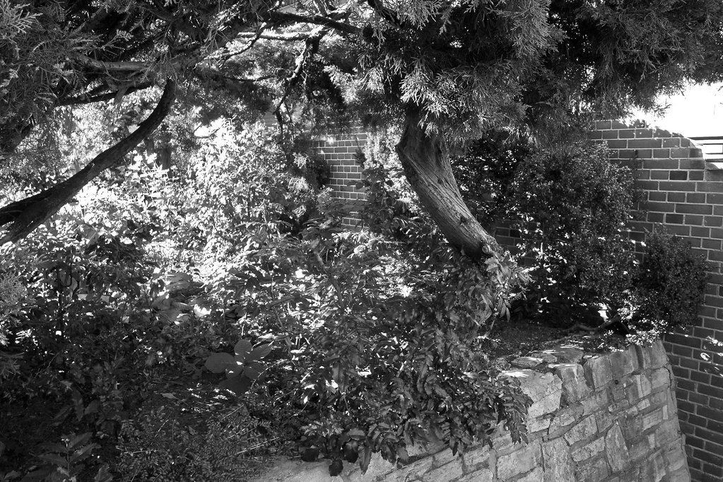 more light and shadow